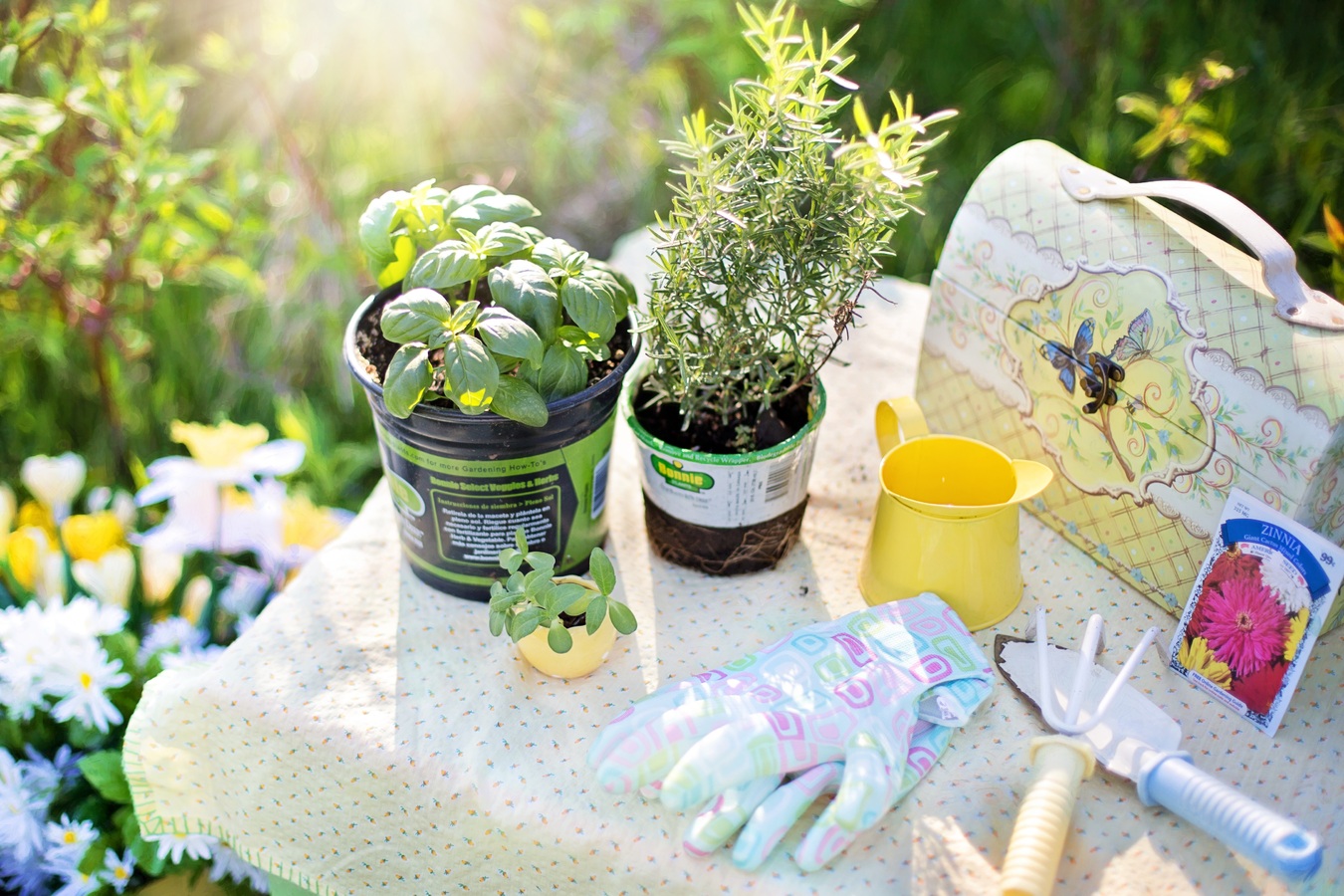 flower-summer-spring-green-garden-gardening-725423-pxhere.com